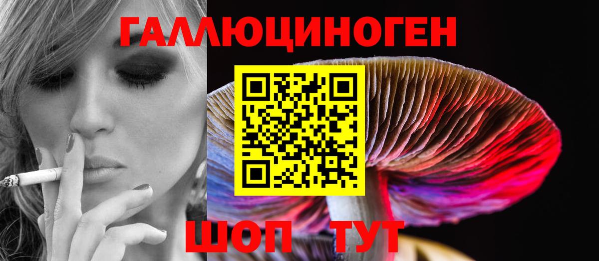 Долгопрудный  Псилоцибиновые грибы Psilocybe  Галлюциногенные грибы Psilocybine cubensis  Вход с VPN 