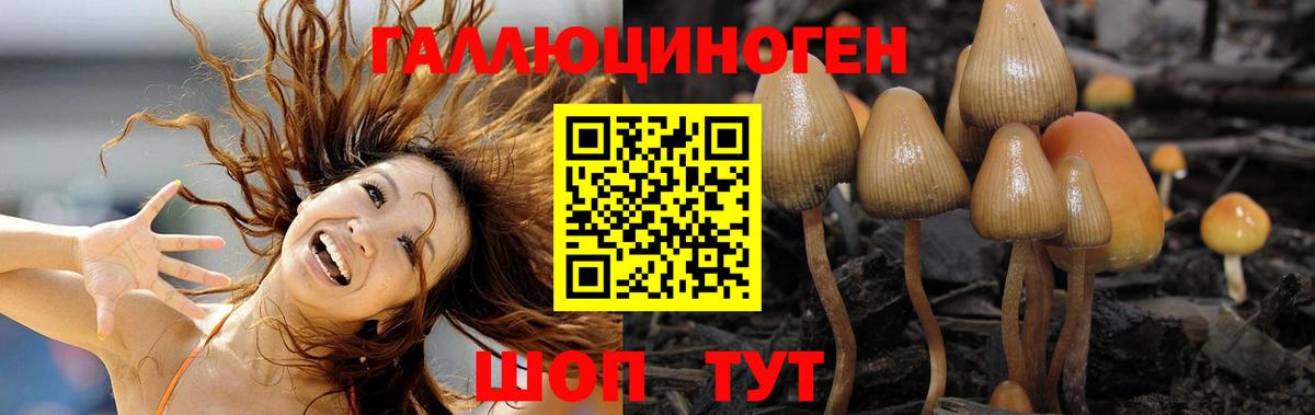 Псилоцибиновые грибы GOLDEN TEACHER Долгопрудный